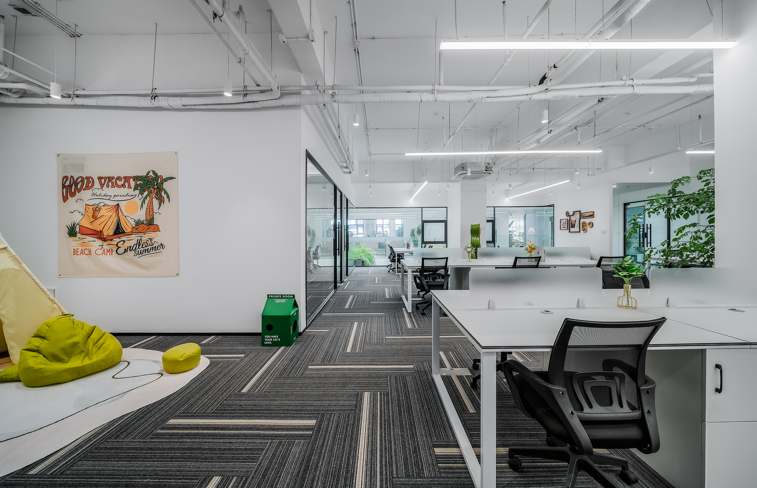 _DSC4606.jpg _DSC4606.jpg