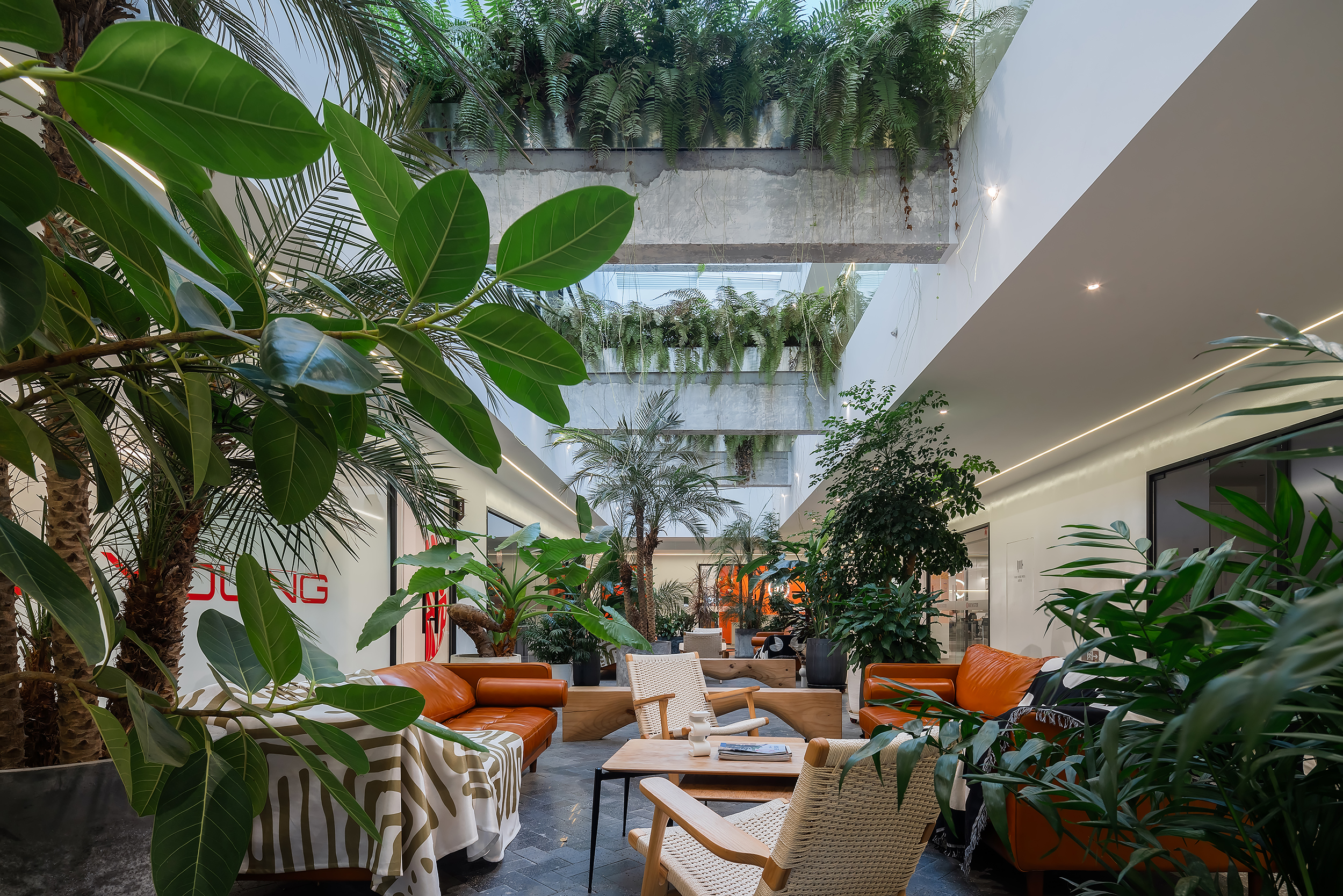 _DSC6694.jpg _DSC6694.jpg