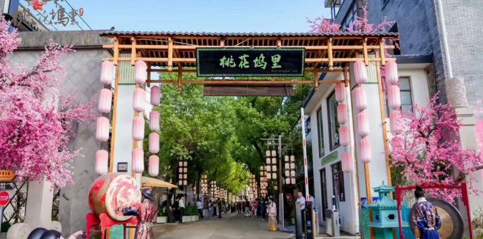 图片17.png 图片17.png